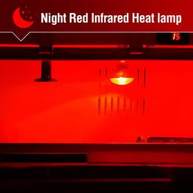 Leoterra 749889850879 Reptile Heat Lamp Bulbs 2pack100w Red Night For Rept