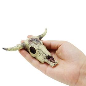 Leoyoubei 732140363409 Aquarium Decoration Fish Tank Small Skull Turtle Hidden Bons