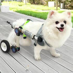 B0dsvhy2w6 Letpetrun Adjustable Dog Wheelchair For Back Legs Mobility Support Lightweight Pet Wheelch