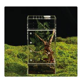 Liz Qnnaly 727210653191 Acrylic Terrarium For Reptiles And Spiders Small/medium/large Leak-proof Encl