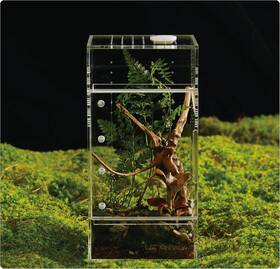 Xyh-25 Liz Qnnaly Acrylic Terrarium For Reptiles And Spiders Small/medium/large Leak-proof Enclosu