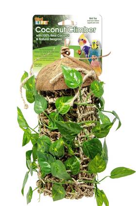 Lizard Lounger 030172096617 Penn-plax Reptology For Bearded Dragons Iguanas And Other Reptiles - Adjust