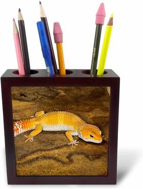 Aje0001 Llc Ph 73100 1 Leopard Gecko Morph Lizard Pakistan As28 Adam Jones Tile Pe