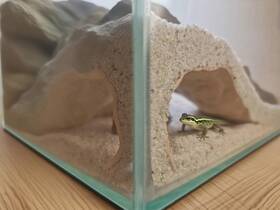 Ft-012 Lollbird Reptile And Shrimp Hide Cave 3d Printed Aquarium Decor For Bearded Dragon Sn