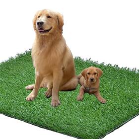 Dg-72 Lomantown 4ft X 6ft Artificial Grass Fake For Pet Training No Tray Synthetic Turf