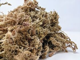 Nz-b5 Long Fiber New Zealand Sphagnum Moss One Gallon 5oz 140 Grams