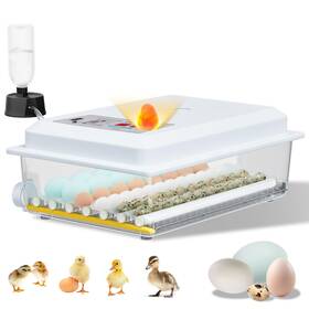 Usg-incu-36-001 Loyfoly Incubators For Hatching Eggs 36 Egg Incubator With Automatic Turning And