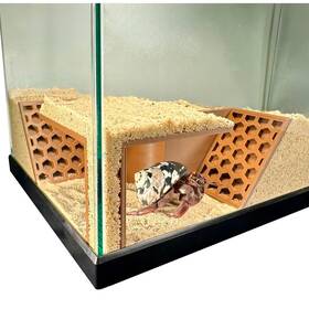 Lucky Critter 198715866278 Hermit Crab Underground Tunnel Cave Corner Climbing Tank Decor
