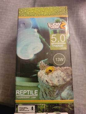11275237 Lucky Herp New 5.0 Uvb Fluorescent Tropical Terrarium Lamp Compact Bulb 13 Watt