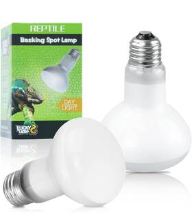 100w Lucky Herp 744110955187 2 Pack Reptile Heat Lamp 2nd Gen Bulbs For Reptiles