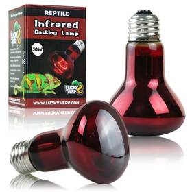 Refbsl50wus2p Lucky Herp 50w Reptile Heat Lamp Bulbs 2 Pack Reptiles And Amphibians Infrared Basking Sp