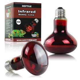 Refbsl75wus2p Lucky Herp 75w Reptile Heat Lamp Bulbs 2 Pack Reptiles And Amphibians Infrared Basking Sp