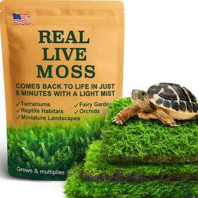 Lucky Runes 313103740712 Live Moss Variety Pack For Reptiles 3-pack Mixed Real Terrarium Mosses Each 3