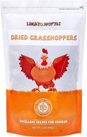 Luckyqworms 445025062023 Freeze Dried Grasshoppers - High Protein Reptile And Bird Food 1lb Re