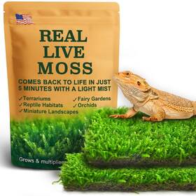7m-7coi-j2ug Luckyrunes Live Moss For Reptiles - Terrarium Peat H