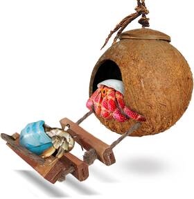 Mni-09 Luffy Pets Collection Sungrow Hermit Crab Coco Hut With Ladder Hamster And Hideout Coconut