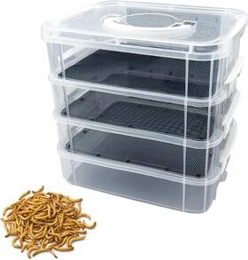 Lukhmelf 313023135131 Mealworm Breeding Kit For Reptiles Birds Chickens And More - High Capacity