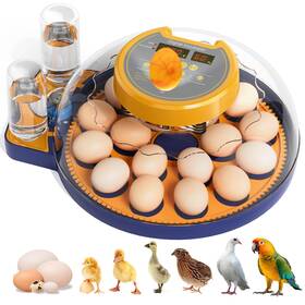 Fhq001-18 Lxzncd 18 Egg Incubator For Hatching Eggs Chicken With Automatic Turner