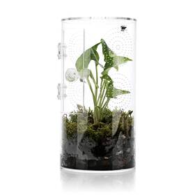 Jst-02 Lyl Leyouland Jumping Spider Enclosure 11 1/2 Inch 6 Air Hole 5/64 Micro Habitat Terrari