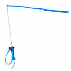 M2346270bts43736 Unbranded Adjustable Reptile Harness Birds Elastic Leash Light 4891043838264