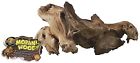 Ma-j Zoo Med Aquarium Mopani 097612201949