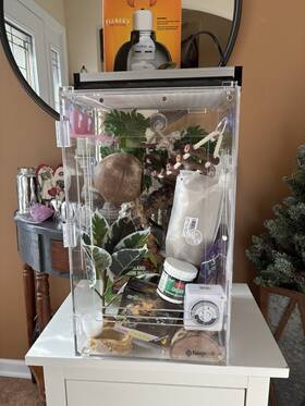Pcx-002 Maiyuolg Chicago Land Area Reptile Crested Gecko Enclosure And Set Up