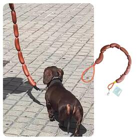 Mrpl0807 Manon Rosa Sausage Leash Hot Dog Walking - Durable Rubber Wiener Hotdog 42.5in/108cm