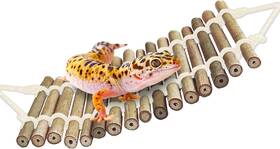Marimo Pet Store 445015390334 Sungrow Bamboo Gecko Reptile Climbing Bridge And Lizard Lounge 18 Inch Swinging