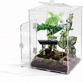 Jse2503 Marycarrie Large Jumping Spider Enclosure 8.5x8.5x12 Inch Acrylic Ventilated Terrarium Wi
