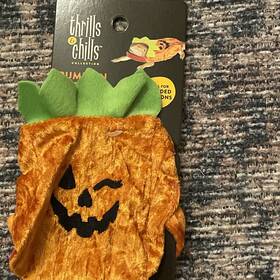 Merry & Bright 196481000124 Pumpkin Reptile Costume Bearded Dragon/reptile And Christmas Gift