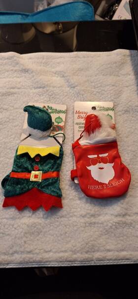 Merry & Bright 196481009615 Santas Elf And Santa Costume For Bearded Dragons Collection New