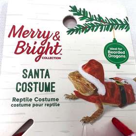 Merry & Bright 196481009646 Santa Costume For Bearded Dragons And Collection New