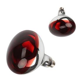 Bulbs01 Minsily 2 Pack 275w Infrared Heat Bulbs Red Lamp Glass For Food Service Brooder