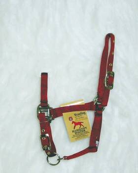 3da-flrd Miracle Corp Products Halter Adjustable Chin Foal Red