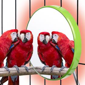 Bird001 Muduoban Bird Heater For Cage Thermostatical Warmer Pad With Mirror Pa