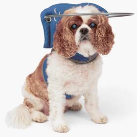 Muffins Halo Guide For Blind Dogs 021808490244 Muffin S The Original Dog Harness And Bumper Collar Access