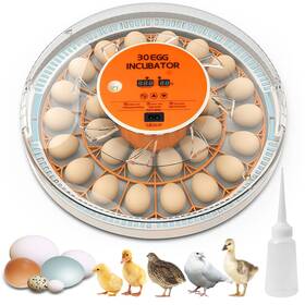 Fdq-30 Muopay 30 Egg Incubator With Automatic Turning And Humidity Control 360 Degree V