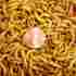 Mwr1 Mwreg Gimminy Crickets And Worms Live Mealworms 500 1000 2000 Ct Reptile Wild Bird Fish Food