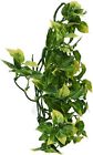 N-a Exo Terra Plastic Terrarium 015561230117