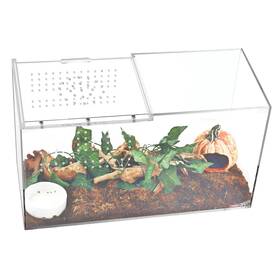Ykl-1486 Naneezoo Acrylic Reptile Terrarium Enclosure 14 Inch X6 X8 Tarant