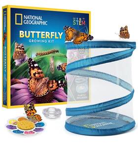 National Geographic 810070623173 Butterfly Growing Kit - Habitat