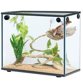 Navaris 067668075487 Bearded Dragon Habitat Essentials Tank Accessories Set Of 5 Reptile Hammock