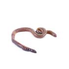 Ba000053197 Nc12 Timberline Live Nightcrawlers 12