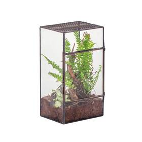 20221118017 Ncyp Glass Terrarium With Door And Mesh For Small Insects - 5.1 X 3.9 9 Inches R