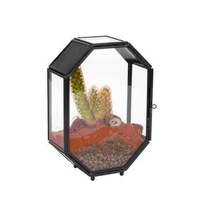 20240827113 Ncyp Mini Vented Glass Terrarium With Vent And Door For Jumping Spiders - Octagon