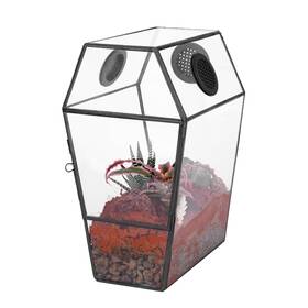 20240827115 Ncyp Gothic Glass Enclosure For Jumping Spider Snails Insects - Front Opening Do