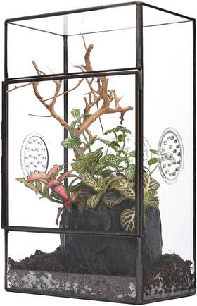 221118018 Ncyp Small Glass Terrarium With 3 Vent Holes For 5.1x3.9x9 Inches Black