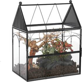 40411063 Ncyp Glass Enclosure With Vent Holes 7.5 Inch X 4.9 9 Black
