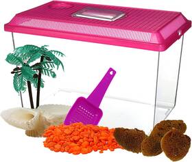 Needzo 711181273489 All In One Starter Kit Hermit Crab Habitat Supplies Diy Terrarium Pack W