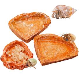 Neeenn 750250656426 3 Pack Reptile Food Dish Resin Hermit Crab And Water Bowl Feed Inch